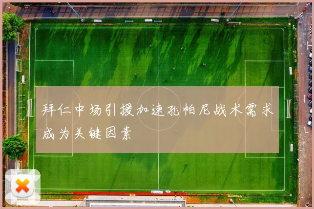 拜仁中场引援加速孔帕尼战术需求成为关键因素